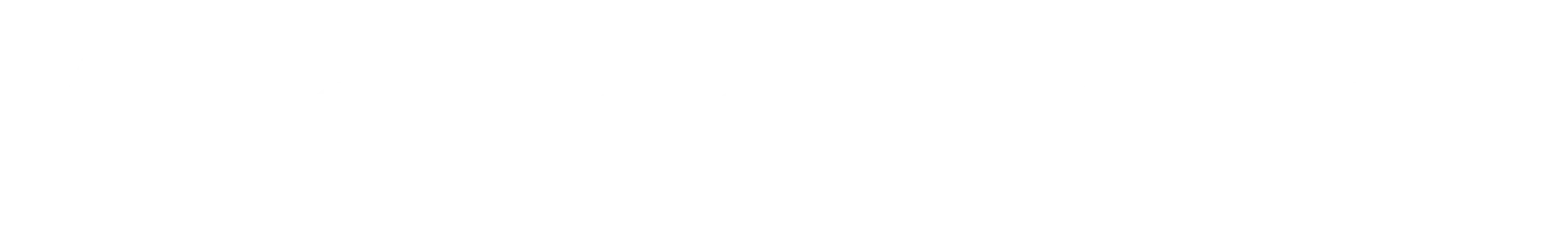 „Wonderlink aus Deutschland setzt klar auf Datenschutz.“